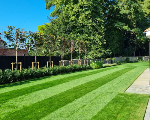 Garden Services in Sevenoaks